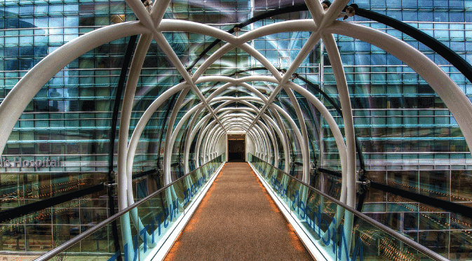 Bridging Knowledge to Health by Paul Bica