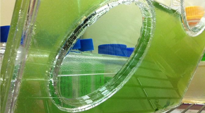 bio-Facade Research